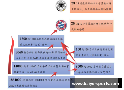 足球运动员学历：打造成功职业生涯的必备基石