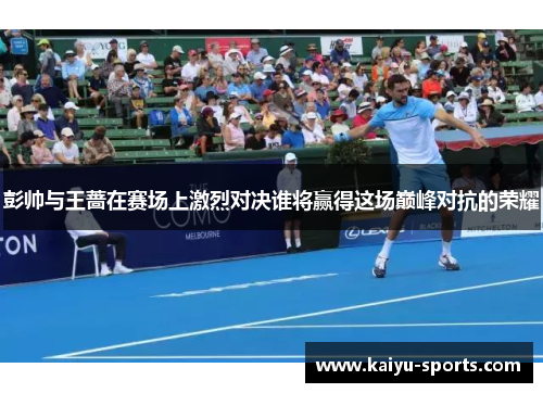 彭帅与王蔷在赛场上激烈对决谁将赢得这场巅峰对抗的荣耀